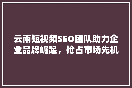 云南短视频SEO团队助力企业品牌崛起，抢占市场先机