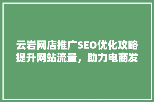 云岩网店推广SEO优化攻略提升网站流量，助力电商发展