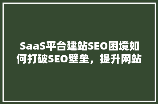 SaaS平台建站SEO困境如何打破SEO壁垒，提升网站流量 智能科技