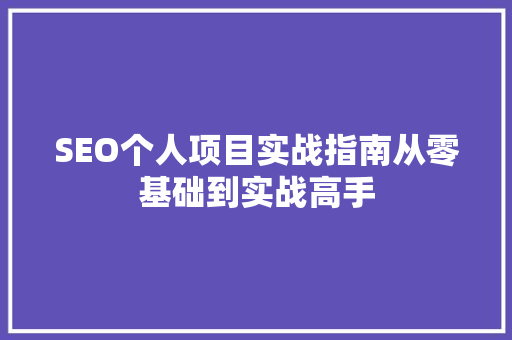 SEO个人项目实战指南从零基础到实战高手