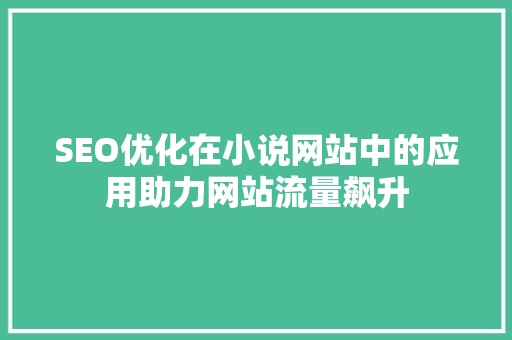 SEO优化在小说网站中的应用助力网站流量飙升