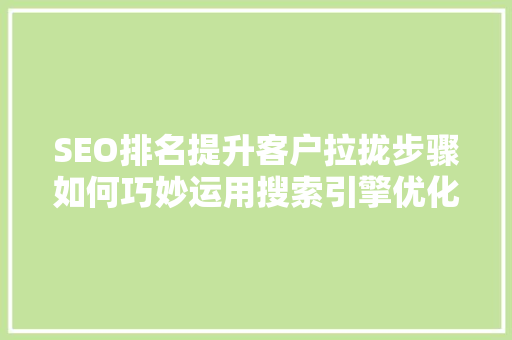SEO排名提升客户拉拢步骤如何巧妙运用搜索引擎优化实现精准营销