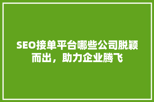 SEO接单平台哪些公司脱颖而出，助力企业腾飞