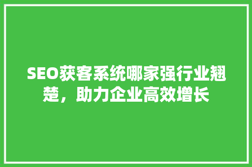 SEO获客系统哪家强行业翘楚，助力企业高效增长
