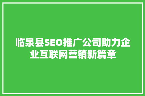 临泉县SEO推广公司助力企业互联网营销新篇章