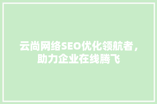 云尚网络SEO优化领航者，助力企业在线腾飞