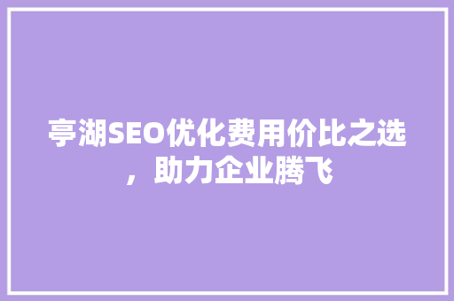 亭湖SEO优化费用价比之选，助力企业腾飞