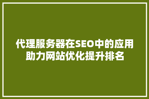 代理服务器在SEO中的应用助力网站优化提升排名