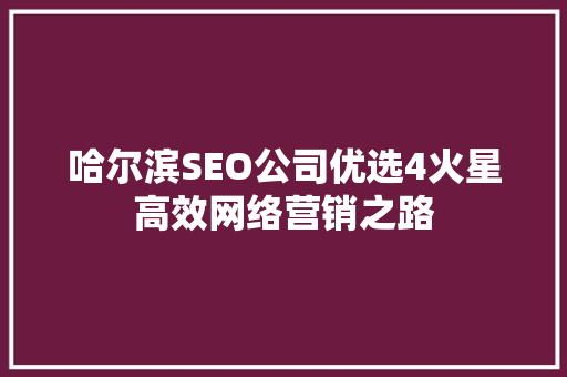 哈尔滨SEO公司优选4火星高效网络营销之路