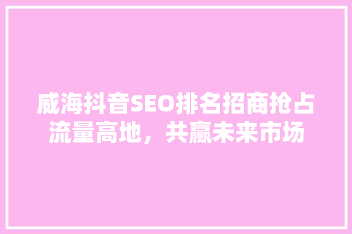 威海抖音SEO排名招商抢占流量高地，共赢未来市场
