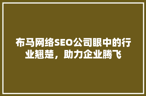 布马网络SEO公司眼中的行业翘楚，助力企业腾飞