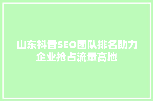 山东抖音SEO团队排名助力企业抢占流量高地