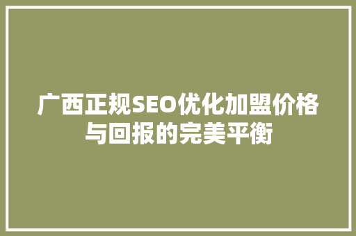 广西正规SEO优化加盟价格与回报的完美平衡