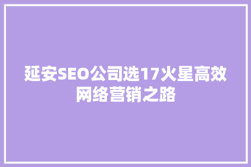 延安SEO公司选17火星高效网络营销之路