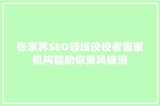 张家界SEO领域佼佼者哪家机构能助你乘风破浪