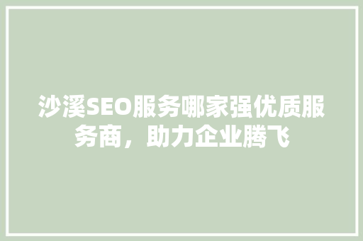 沙溪SEO服务哪家强优质服务商，助力企业腾飞
