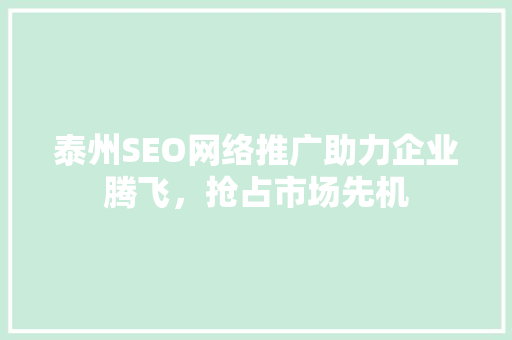 泰州SEO网络推广助力企业腾飞，抢占市场先机