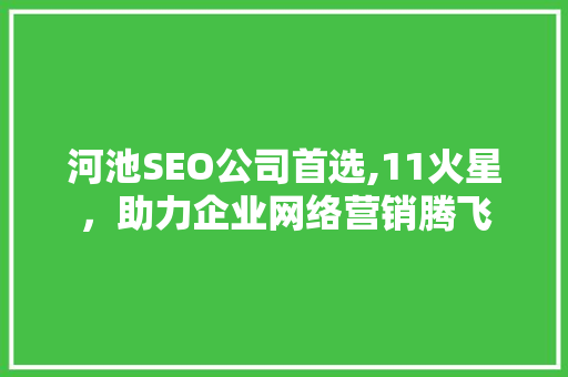河池SEO公司首选,11火星，助力企业网络营销腾飞