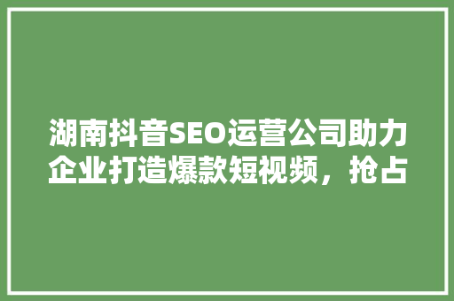 湖南抖音SEO运营公司助力企业打造爆款短视频，抢占流量高地