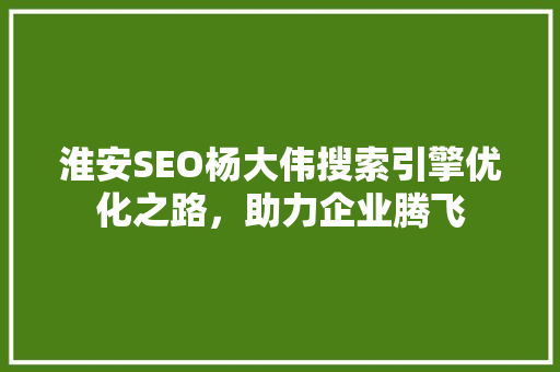 淮安SEO杨大伟搜索引擎优化之路，助力企业腾飞