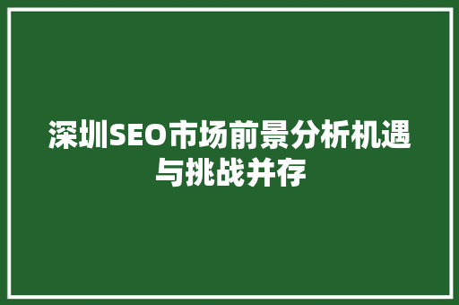 深圳SEO市场前景分析机遇与挑战并存