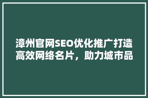 漳州官网SEO优化推广打造高效网络名片，助力城市品牌传播
