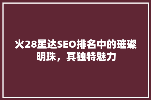 火28星达SEO排名中的璀璨明珠，其独特魅力