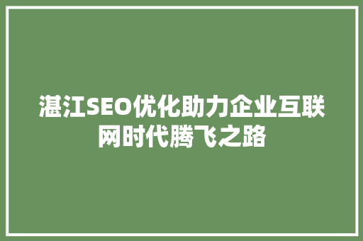 湛江SEO优化助力企业互联网时代腾飞之路
