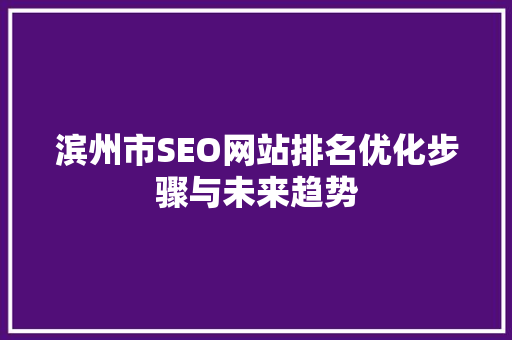 滨州市SEO网站排名优化步骤与未来趋势