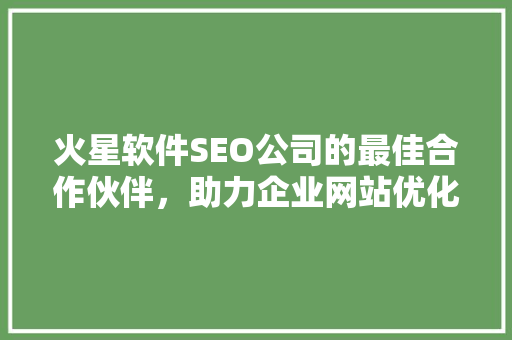 火星软件SEO公司的最佳合作伙伴，助力企业网站优化脱颖而出