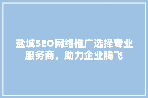 盐城SEO网络推广选择专业服务商，助力企业腾飞