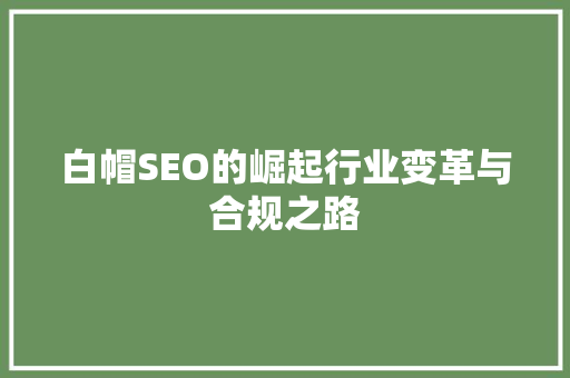 白帽SEO的崛起行业变革与合规之路