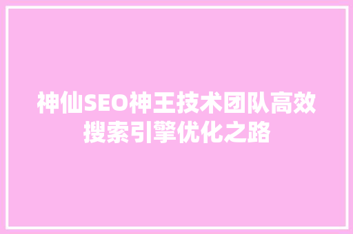 神仙SEO神王技术团队高效搜索引擎优化之路