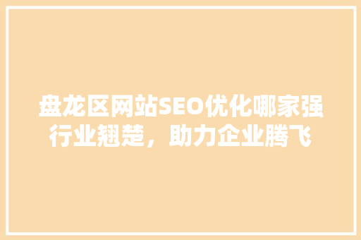 盘龙区网站SEO优化哪家强行业翘楚，助力企业腾飞