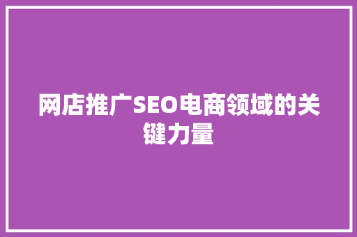 网店推广SEO电商领域的关键力量 软件技术