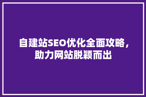 自建站SEO优化全面攻略，助力网站脱颖而出