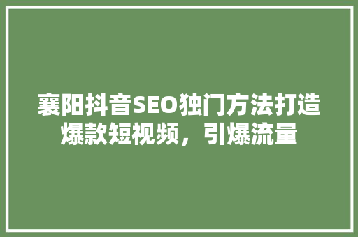 襄阳抖音SEO独门方法打造爆款短视频，引爆流量