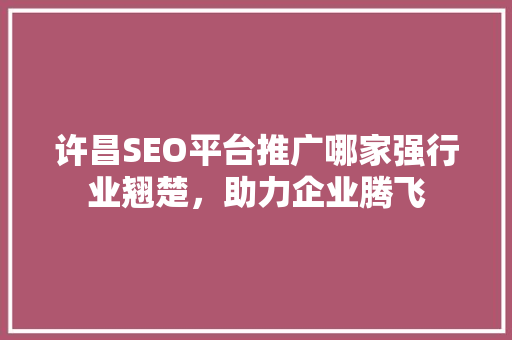 许昌SEO平台推广哪家强行业翘楚，助力企业腾飞 AI场景