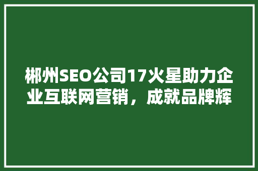 郴州SEO公司17火星助力企业互联网营销，成就品牌辉煌