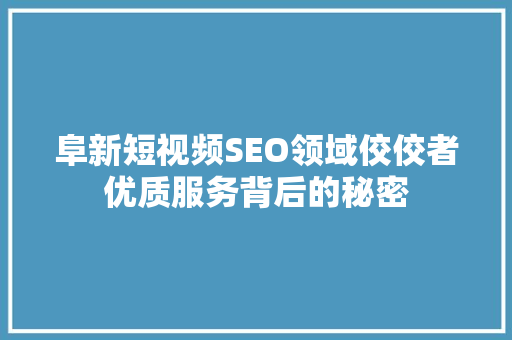阜新短视频SEO领域佼佼者优质服务背后的秘密