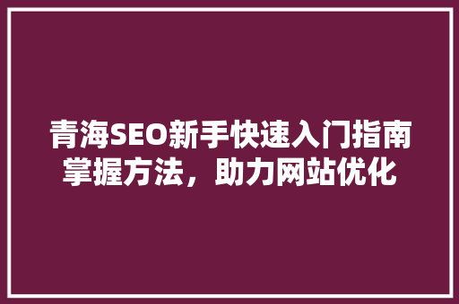 青海SEO新手快速入门指南掌握方法，助力网站优化