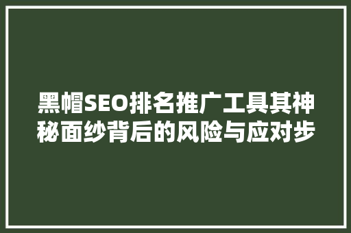 黑帽SEO排名推广工具其神秘面纱背后的风险与应对步骤