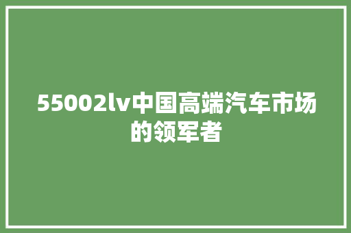 55002lv中国高端汽车市场的领军者