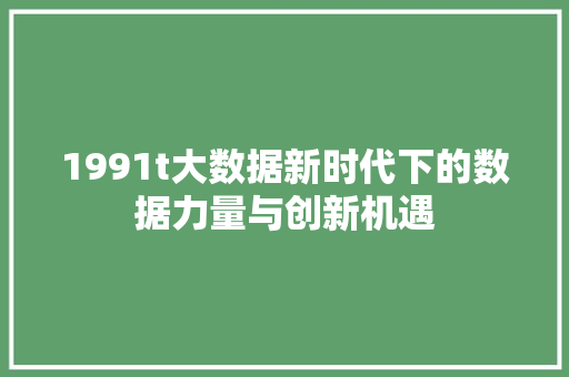 1991t大数据新时代下的数据力量与创新机遇