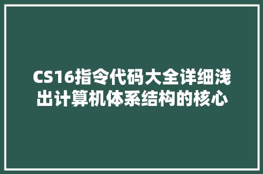 CS16指令代码大全详细浅出计算机体系结构的核心