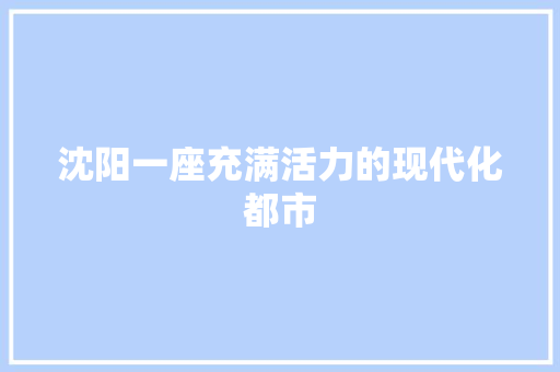 沈阳一座充满活力的现代化都市