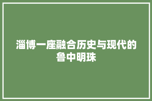 淄博一座融合历史与现代的鲁中明珠 人工智能