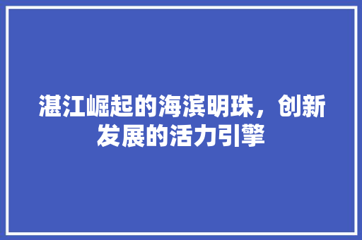湛江崛起的海滨明珠，创新发展的活力引擎