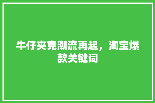 牛仔夹克潮流再起，淘宝爆款关键词
