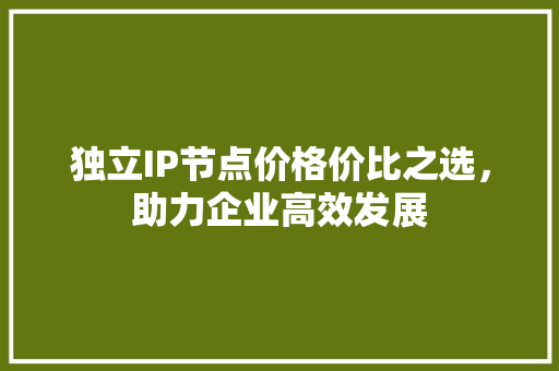独立IP节点价格价比之选，助力企业高效发展